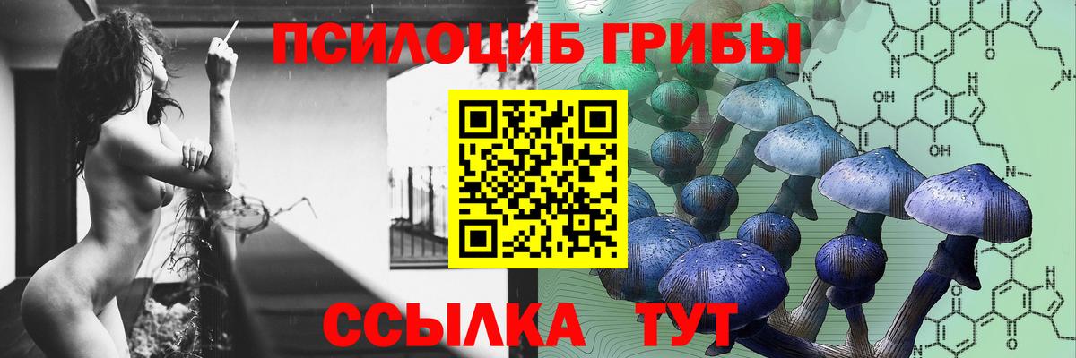 Галлюциногенные грибы Psilocybine cubensis  Псилоцибиновые грибы Cubensis  Вход с VPN  Лыткарино 